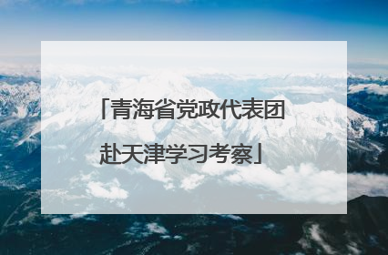 青海省党政代表团赴天津学习考察