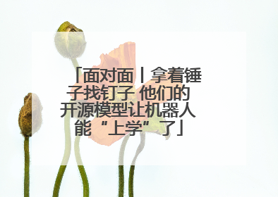 面对面丨拿着锤子找钉子 他们的开源模型让机器人能“上学”了