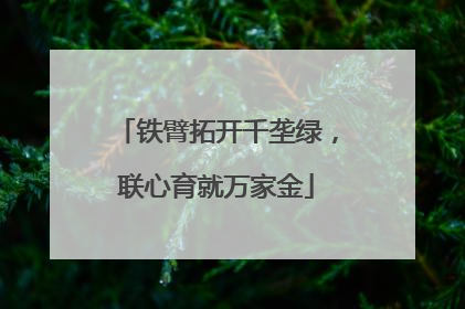 铁臂拓开千垄绿，联心育就万家金
