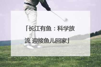 长江有鱼：科学放流 迎接鱼儿回家