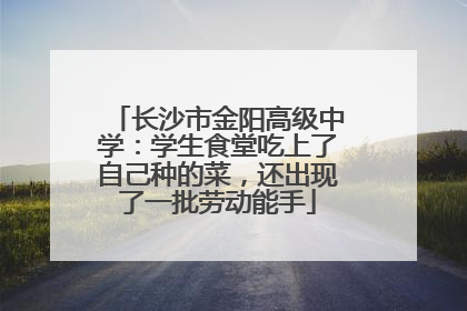 长沙市金阳高级中学：学生食堂吃上了自己种的菜，还出现了一批劳动能手