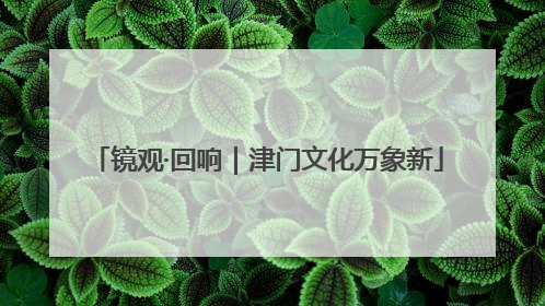 镜观·回响｜津门文化万象新