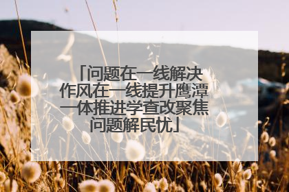 问题在一线解决 作风在一线提升鹰潭一体推进学查改聚焦问题解民忧
