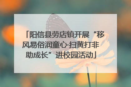 阳信县劳店镇开展“移风易俗润童心·扫黄打非助成长”进校园活动