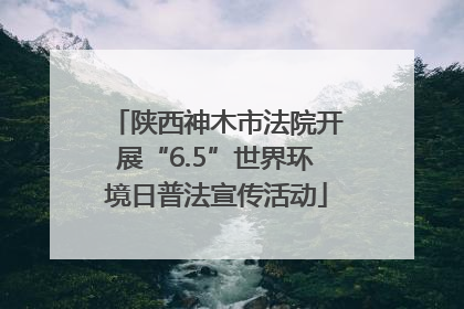 陕西神木市法院开展“6.5”世界环境日普法宣传活动