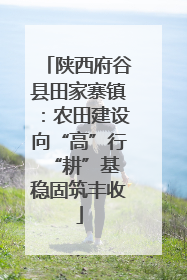 陕西府谷县田家寨镇：农田建设向“高”行 “耕”基稳固筑丰收