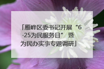 雁峰区委书记开展“6·25为民服务日” 暨为民办实事专题调研