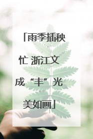 雨季插秧忙 浙江文成“丰”光美如画