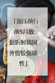 顶压前行 前5月数据折射我国外贸较强韧性