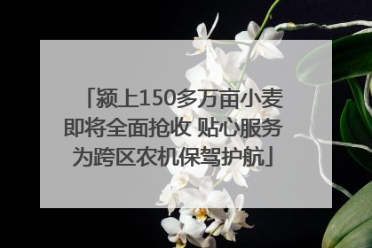 颍上150多万亩小麦即将全面抢收 贴心服务为跨区农机保驾护航