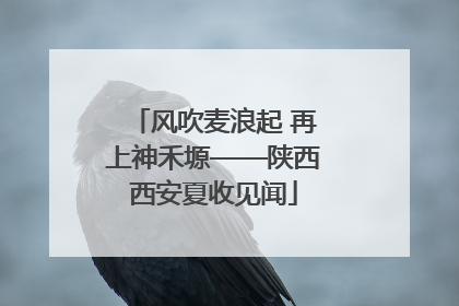 风吹麦浪起 再上神禾塬——陕西西安夏收见闻