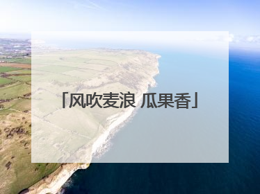 风吹麦浪 瓜果香