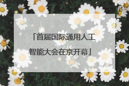 首届国际通用人工智能大会在京开幕