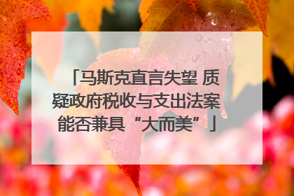 马斯克直言失望 质疑政府税收与支出法案能否兼具“大而美”
