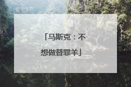 马斯克：不想做替罪羊