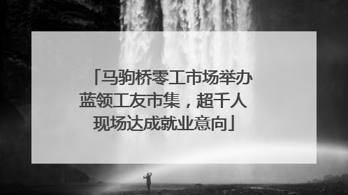 马驹桥零工市场举办蓝领工友市集，超千人现场达成就业意向
