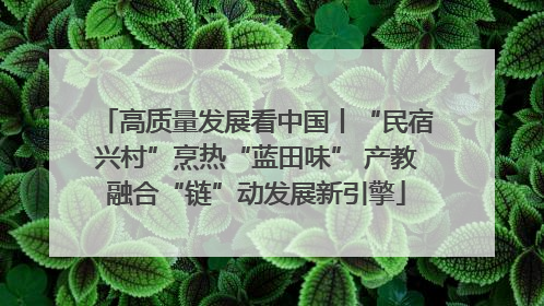 高质量发展看中国丨“民宿兴村”烹热“蓝田味” 产教融合“链”动发展新引擎