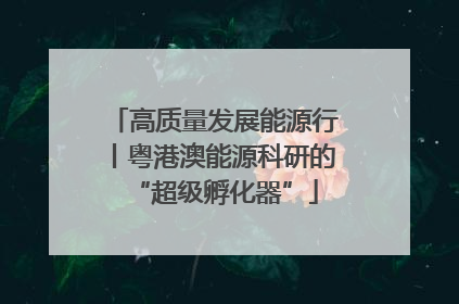 高质量发展能源行丨粤港澳能源科研的“超级孵化器”