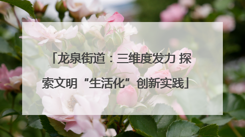龙泉街道：三维度发力 探索文明“生活化”创新实践