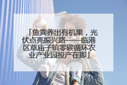 鱼粪养出有机果，光伏点亮振兴路——临港区草庙子镇零碳循环农业产业园投产在即