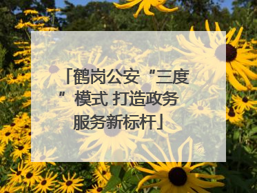 鹤岗公安“三度”模式 打造政务服务新标杆