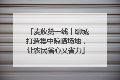 麦收第一线丨聊城打造集中晾晒场地，让农民省心又省力
