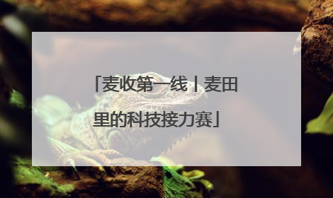 麦收第一线丨麦田里的科技接力赛
