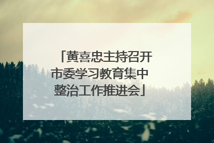 黄喜忠主持召开市委学习教育集中整治工作推进会