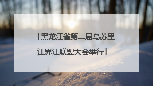 黑龙江省第二届乌苏里江界江联盟大会举行