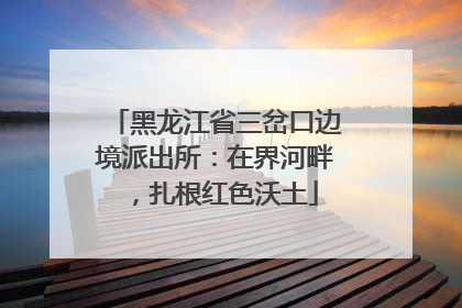 黑龙江省三岔口边境派出所：在界河畔，扎根红色沃土