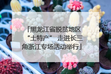 黑龙江省脱贫地区 “土特产” 走进长三角浙江专场活动举行
