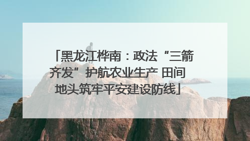 黑龙江桦南：政法“三箭齐发”护航农业生产 田间地头筑牢平安建设防线
