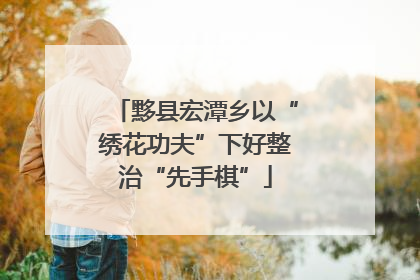 黟县宏潭乡以“绣花功夫”下好整治“先手棋”