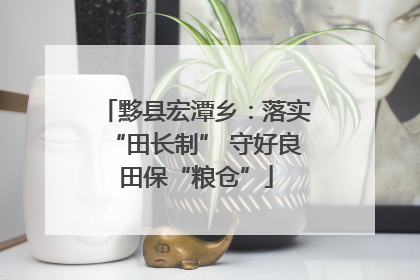 黟县宏潭乡：落实“田长制” 守好良田保“粮仓”