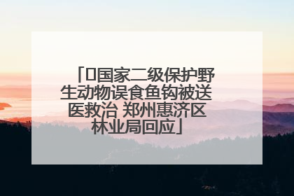 ﻿国家二级保护野生动物误食鱼钩被送医救治 郑州惠济区林业局回应