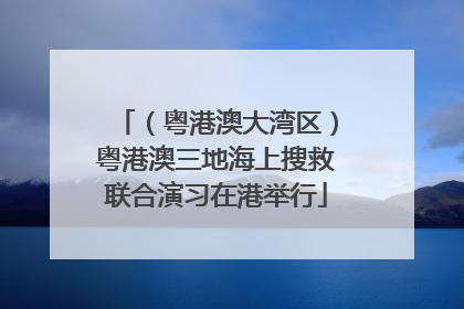 （粤港澳大湾区）粤港澳三地海上搜救联合演习在港举行