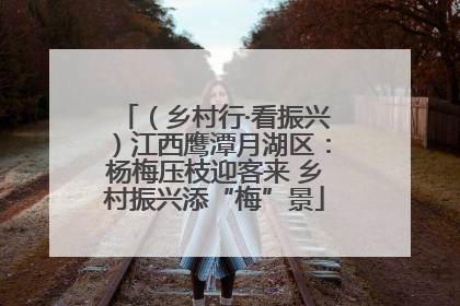 （乡村行·看振兴）江西鹰潭月湖区：杨梅压枝迎客来 乡村振兴添“梅”景
