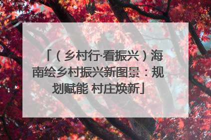 （乡村行·看振兴）海南绘乡村振兴新图景：规划赋能 村庄焕新