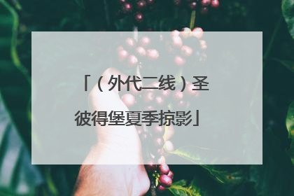 （外代二线）圣彼得堡夏季掠影