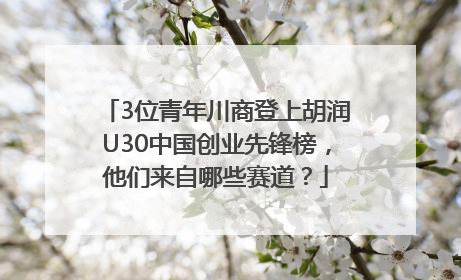3位青年川商登上胡润U30中国创业先锋榜，他们来自哪些赛道？