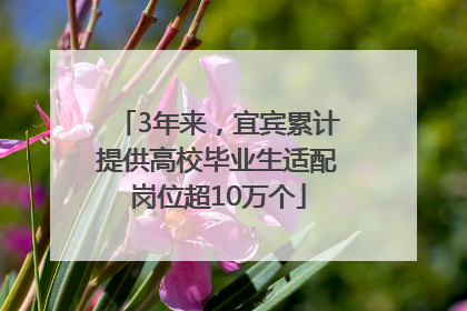 3年来，宜宾累计提供高校毕业生适配岗位超10万个