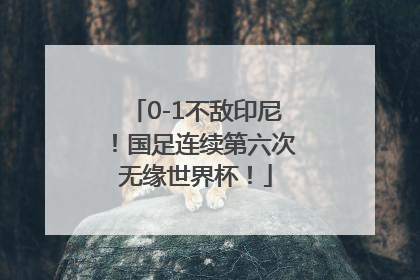 0-1不敌印尼！国足连续第六次无缘世界杯！