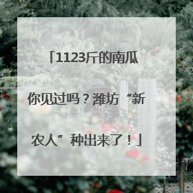 1123斤的南瓜你见过吗？潍坊“新农人”种出来了！