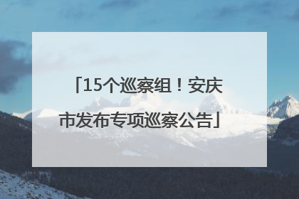 15个巡察组！安庆市发布专项巡察公告