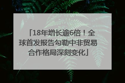 18年增长逾6倍！全球首发报告勾勒中非贸易合作格局深刻变化