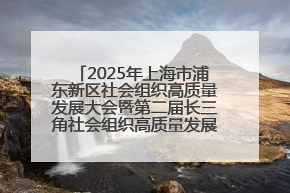 2025年上海市浦东新区社会组织高质量发展大会暨第二届长三角社会组织高质量发展峰会成功举办