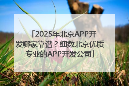 2025年北京APP开发哪家靠谱？细数北京优质专业的APP开发公司