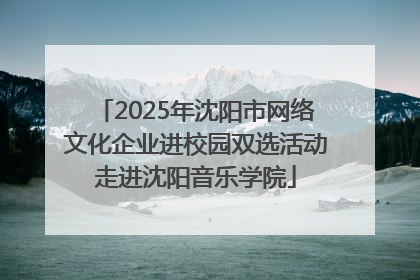 2025年沈阳市网络文化企业进校园双选活动走进沈阳音乐学院