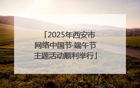 2025年西安市网络中国节·端午节主题活动顺利举行