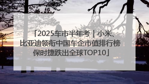 2025车市半年考｜小米、比亚迪领衔中国车企市值排行榜 保时捷跌出全球TOP10